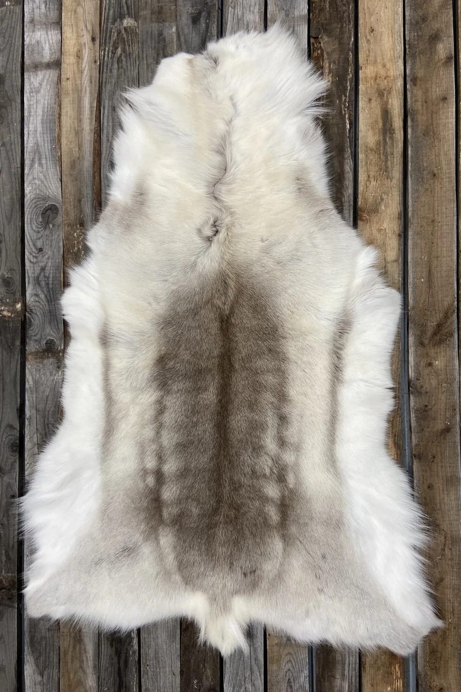 Caribou pelt BILODEAU Canada