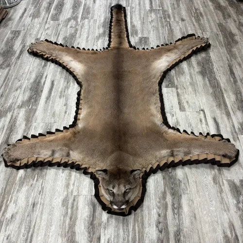 Cougar rug #12922| BILODEAU Canada
