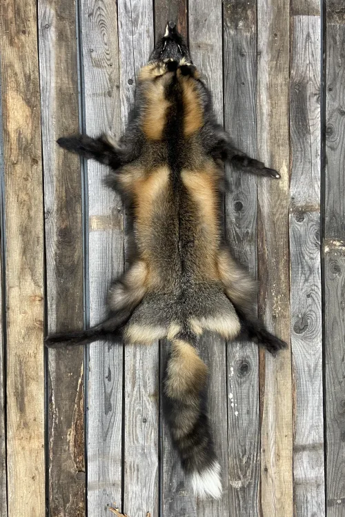 Cross Fox pelt | Dressed skins | BILODEAU Canada