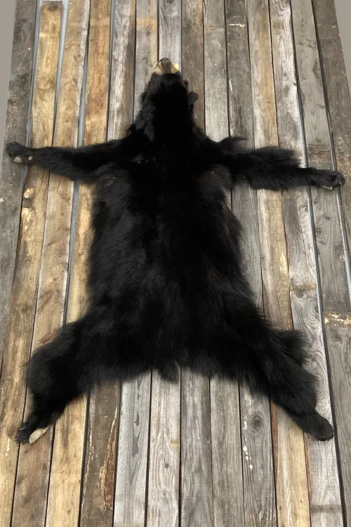 Black Bear pelt | Dressed skins | BILODEAU Canada