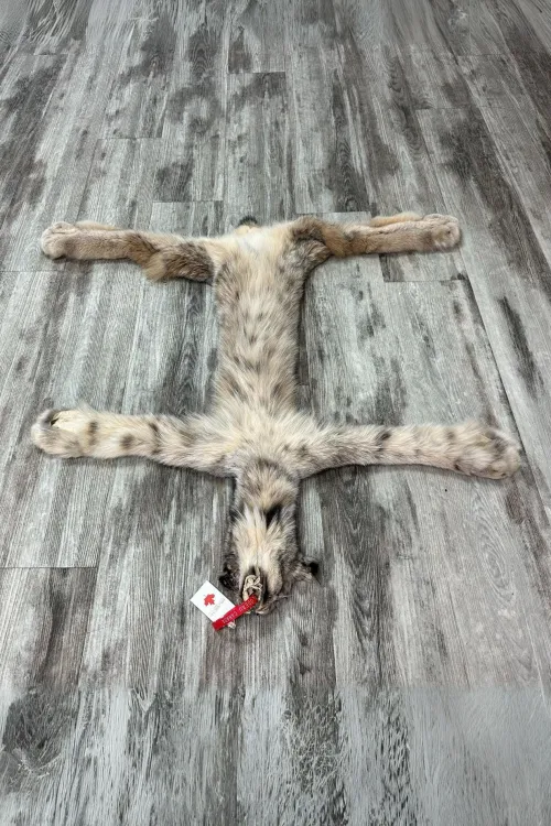 Lynx pelt dry tan - #0001000 | Dressed skins | BILODEAU Canada