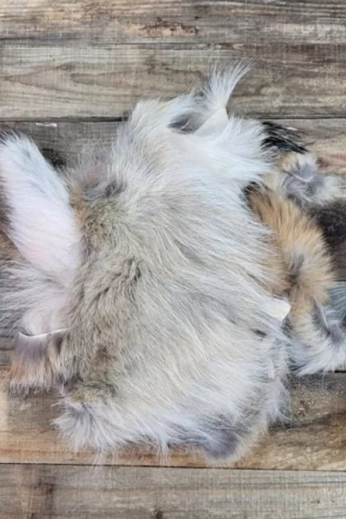 Coyote scraps | Fur scraps | BILODEAU Canada