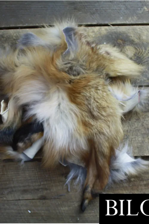 Retailles de Renard Roux | Retailles de fourrure | BILODEAU Canada