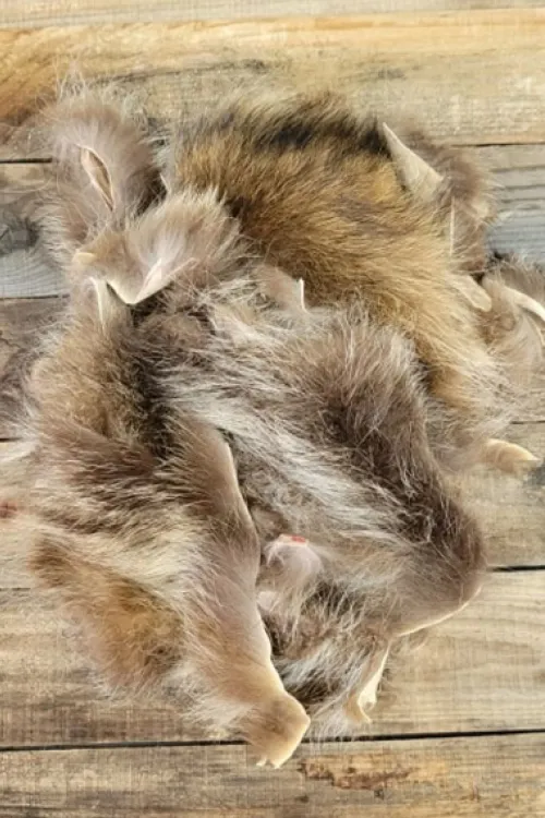 Retailles de Raton Laveur | Retailles de fourrure | BILODEAU Canada