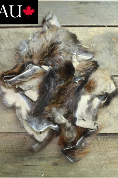 Natural Beaver scraps | Fur scraps | BILODEAU Canada