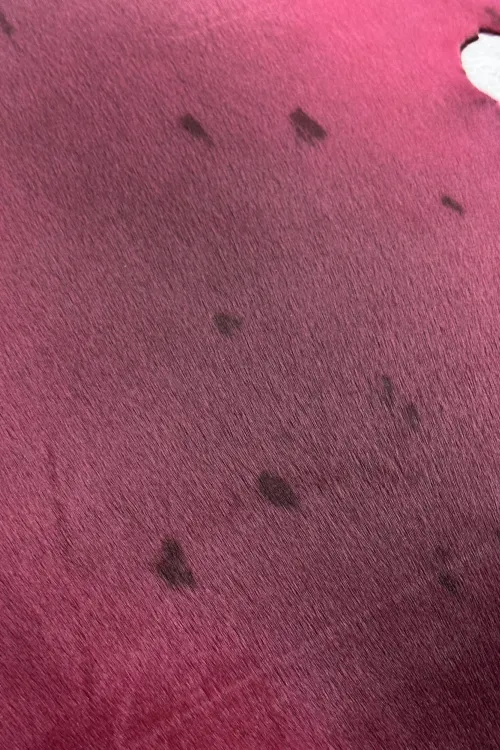 Peau de Loup-marin fuchsia | Peaux apprêtées | BILODEAU Canada