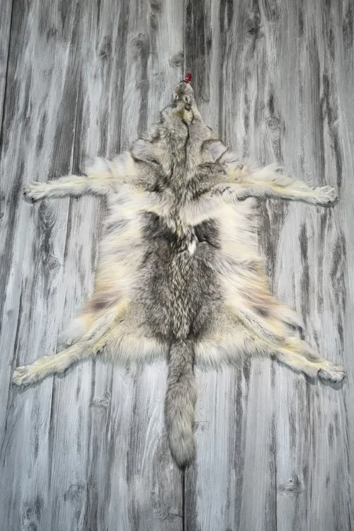 PEAU DE LOUP ARCTIQUE - #0001520 | Peaux apprêtées | BILODEAU Canada