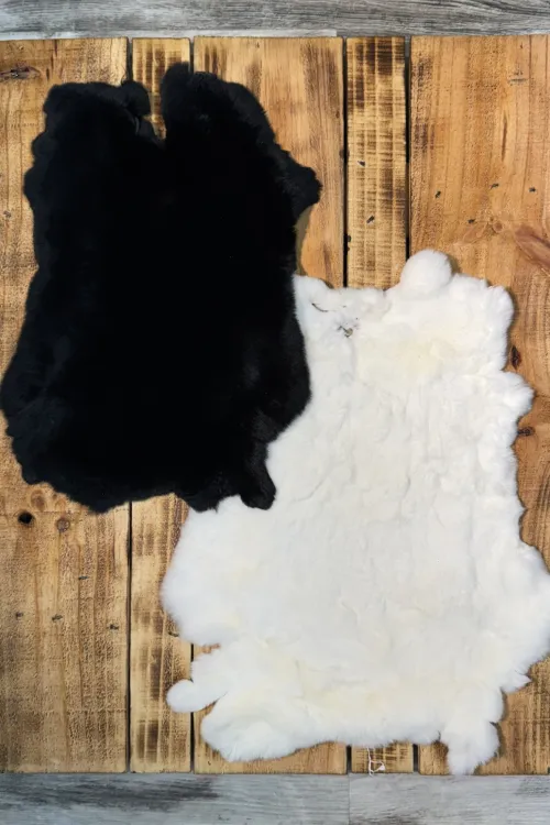 REX RABBIT PELTS | Dressed skins | BILODEAU Canada