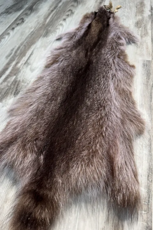 Raccoon pelt (Violet Tone) | Dressed skins | BILODEAU Canada