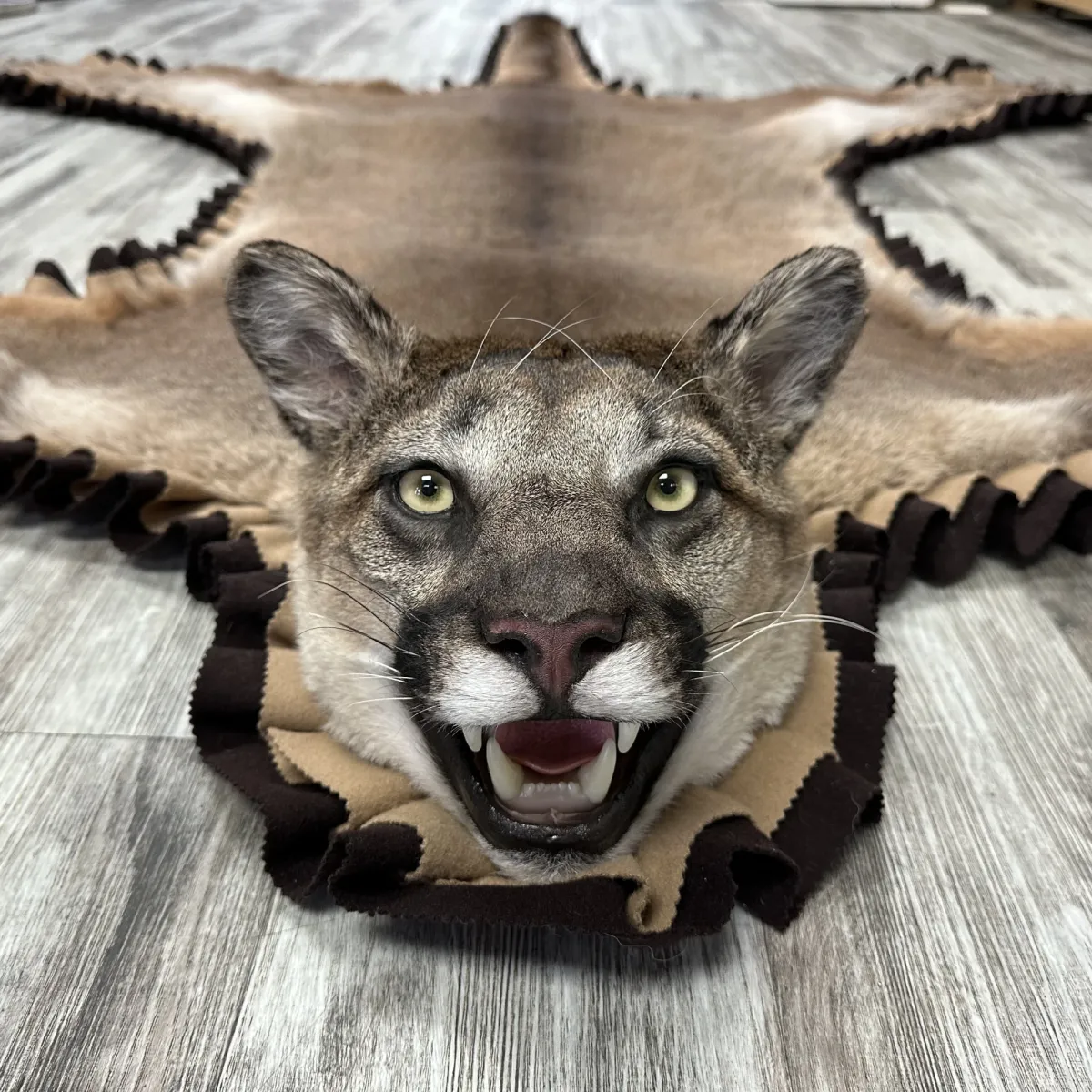 TAG 29567 Job 03237 12922 2