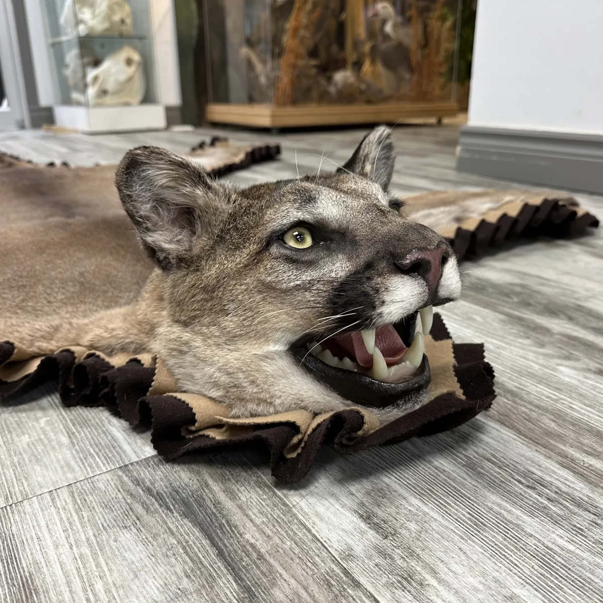 TAG 29567 Job 03237 12922 3