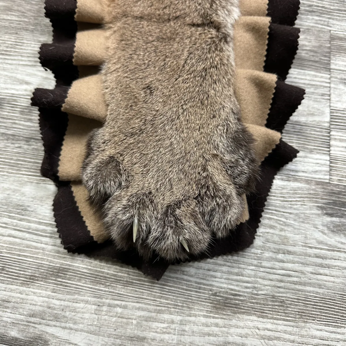 TAG 29567 Job 03237 12922 5