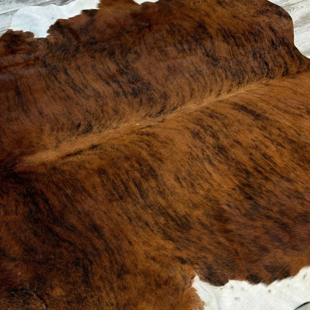 A 95253 2