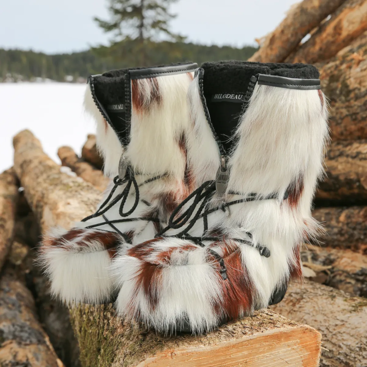 V102 L lifestyle web 3