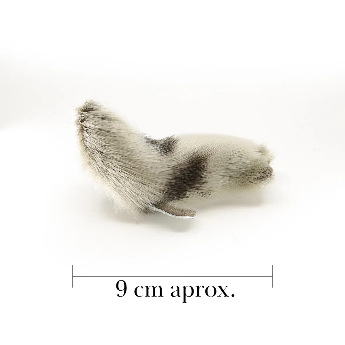 Peluche Loup Marin naturel Medium2